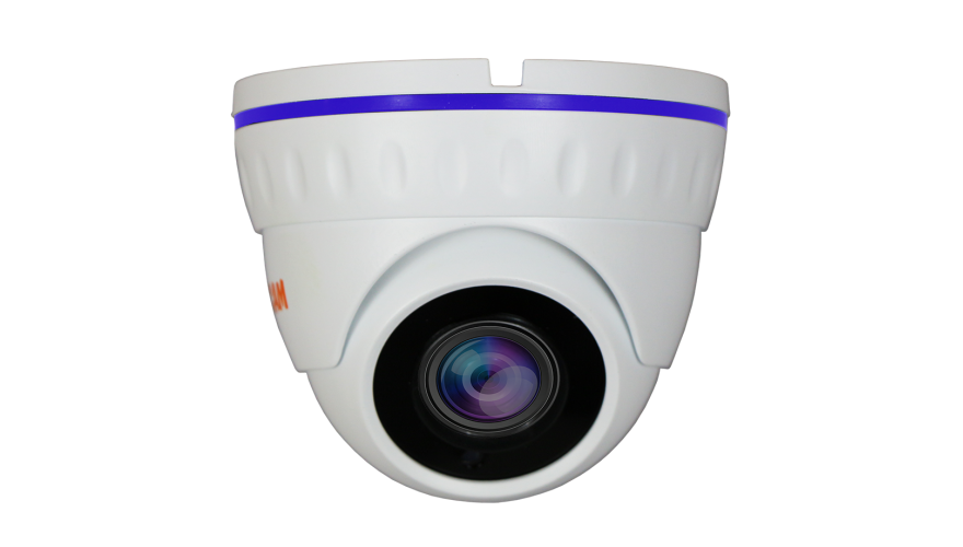 Купить Муляж CARCAM CAM-1889P