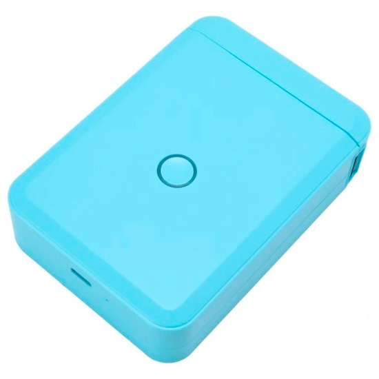 Купить NIIMBOT D110 Blue