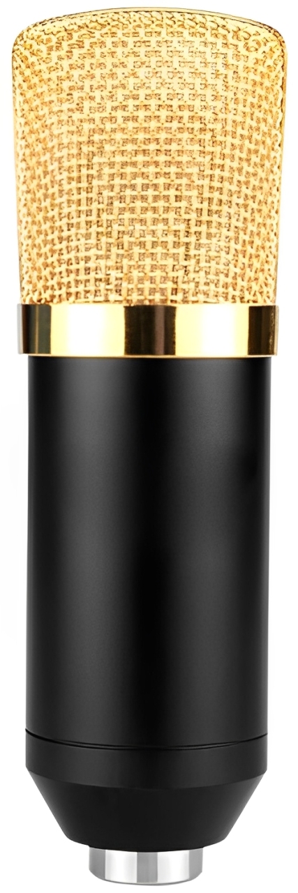 Купить Andowl Microphone (Q-MIC3)