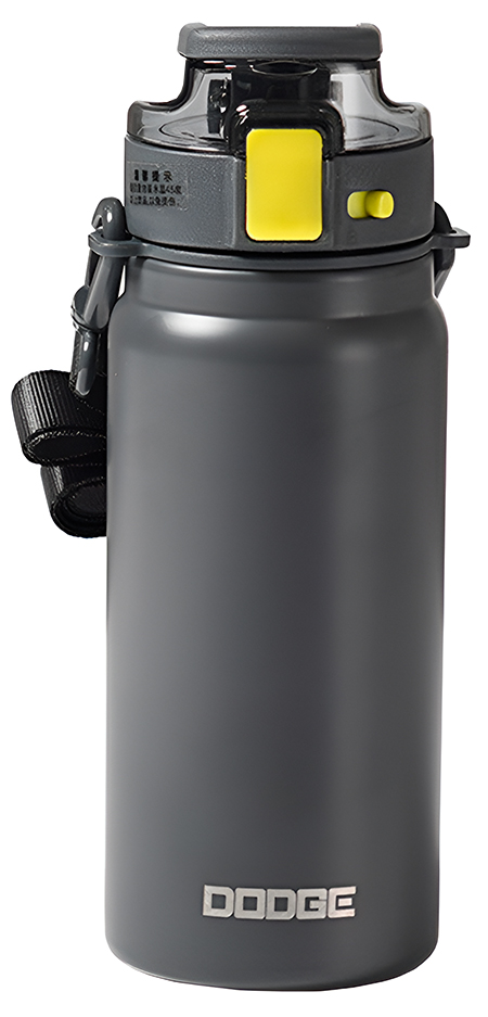Купить Dodge Insulated Bottle 600ml (DB-22653) Grey