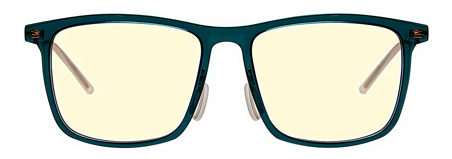 Купить Xiaomi Turok Steinhardt Anti-Blue Light Goggles Pro (FTR036-2521) Dark Blue