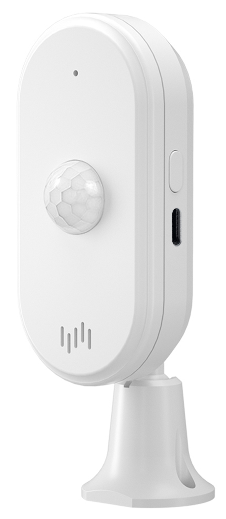 Купить CARCAM Tuya WIFI Motion Sensor with Alarm Sound 812WT