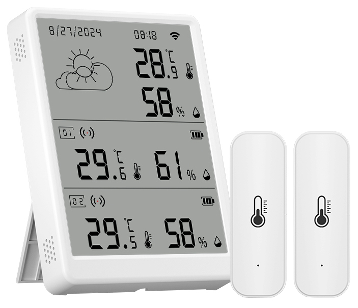 Купить CARCAM Tuya WIFI Temperature Humidity Monitor With Extra Sensor TH16-R2