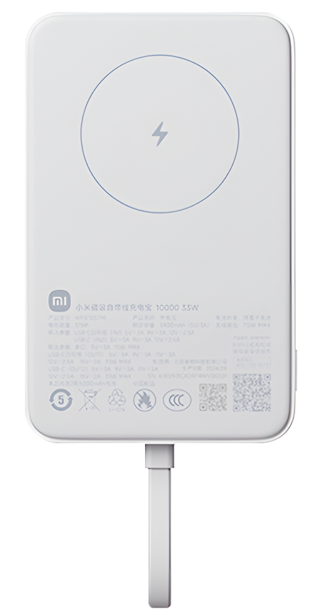 Купить Xiaomi Magnetic Power Bank with Built in Cable 10000mAh 33W (WPB1007MI) White