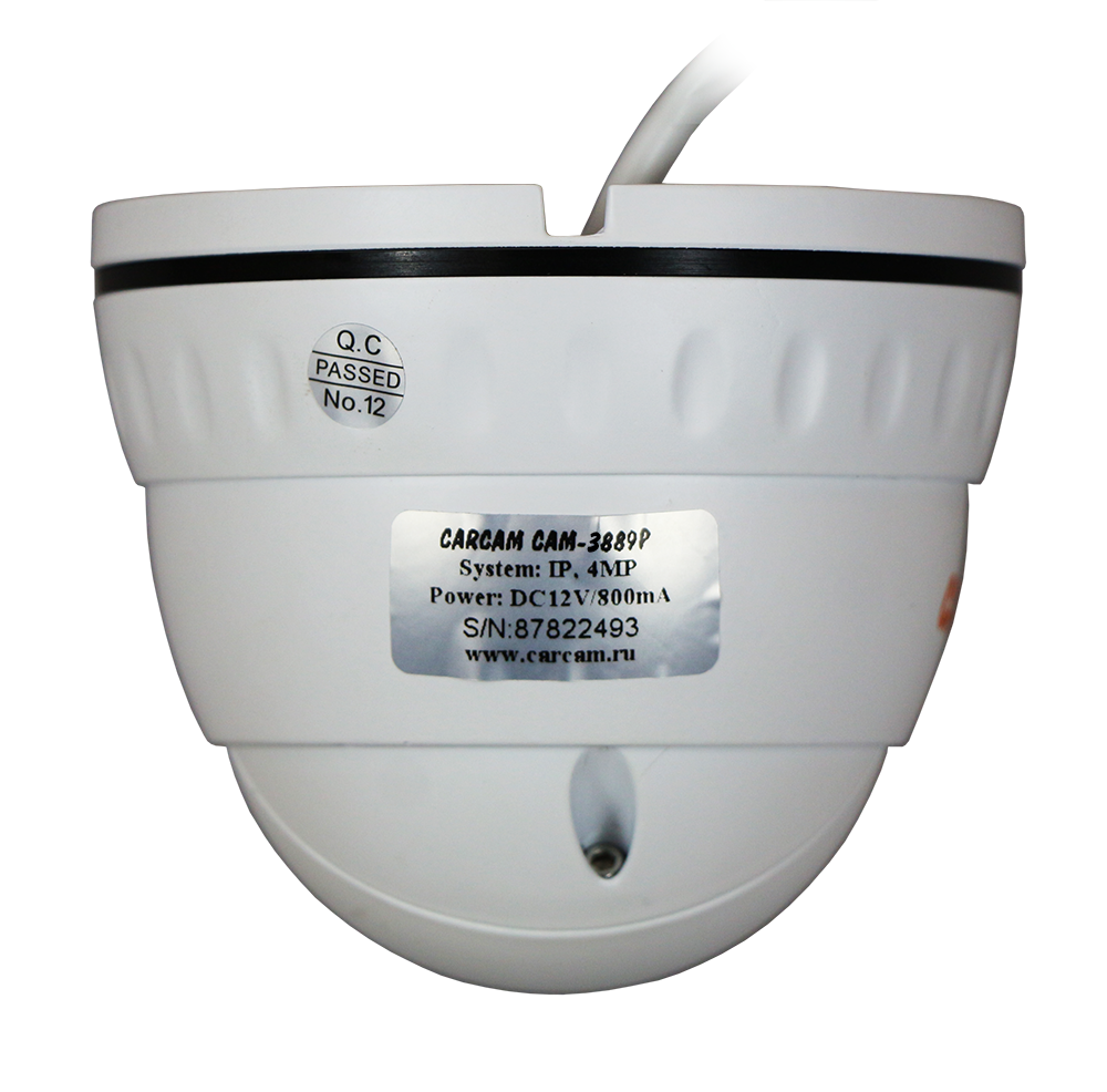 Купить CARCAM CAM-3889P