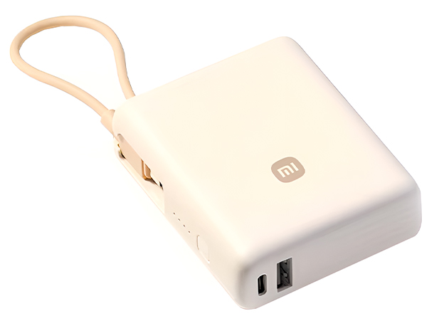 Купить Xiaomi Mi Power Bank 33W 10000 mah (PB1033MI) Light Brown