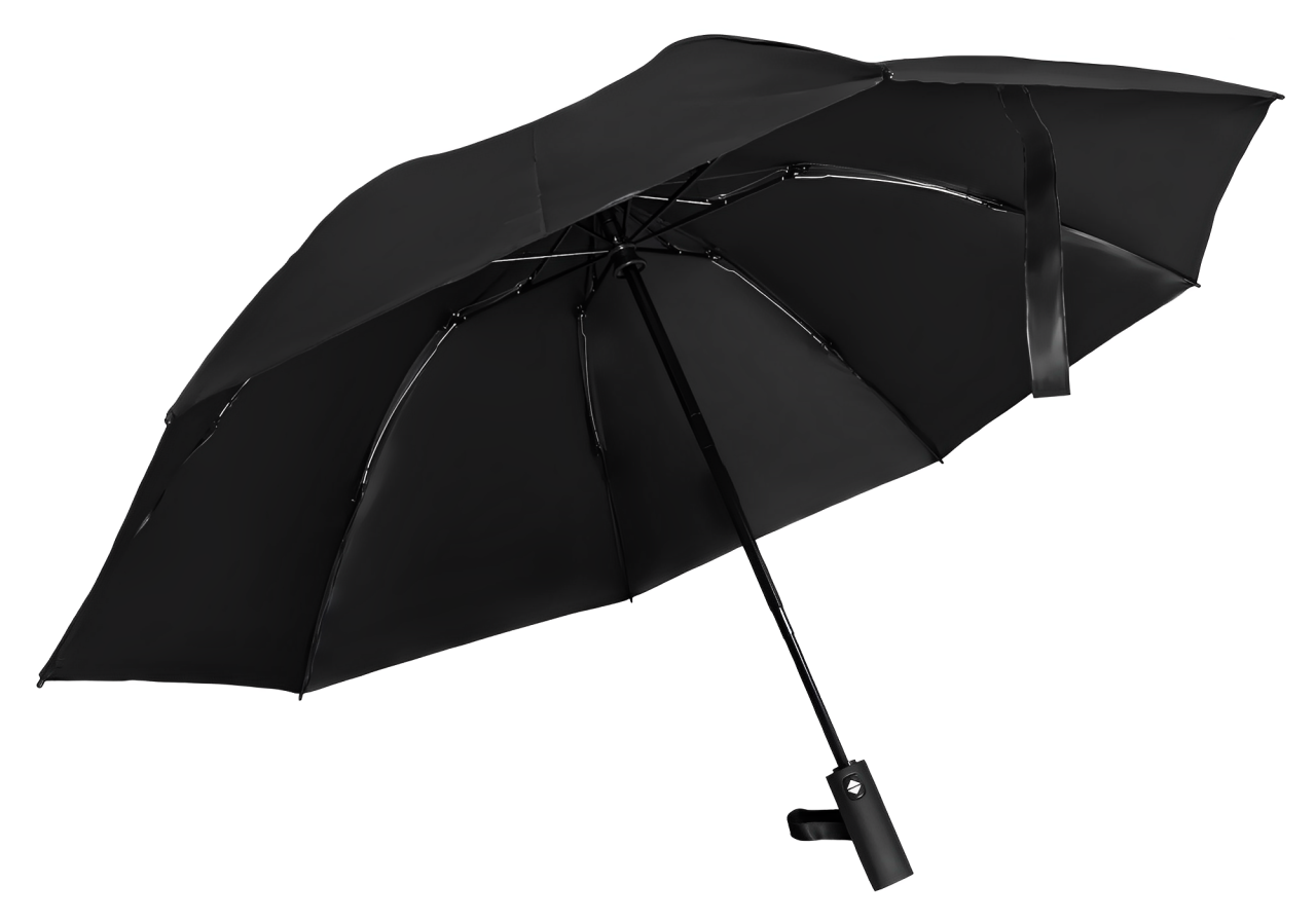 Купить Xiaomi Lofans Fully Automatic Umbrella (ZDS1) Black