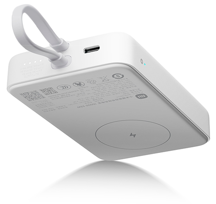 Купить Xiaomi Magnetic Power Bank with Built in Cable 10000mAh 33W (WPB1007MI) White