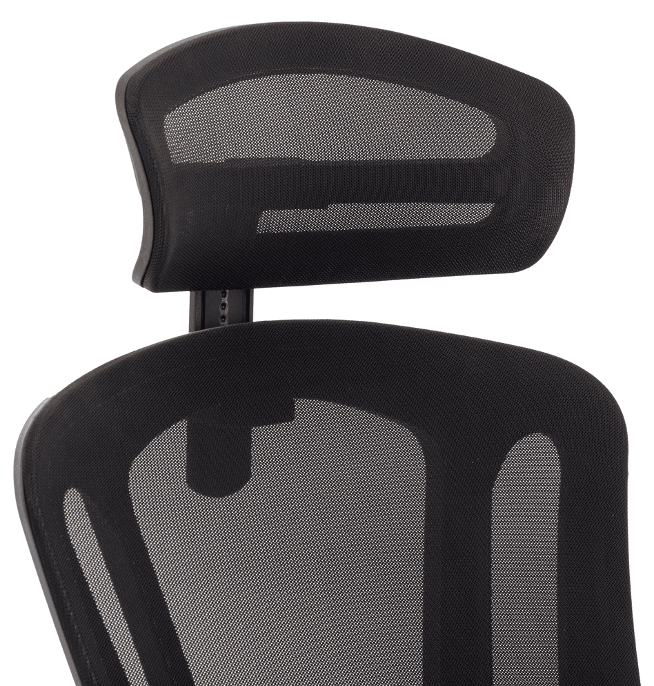 Купить Xiaomi Ergonomic Office Chair (XMGMP007) Black