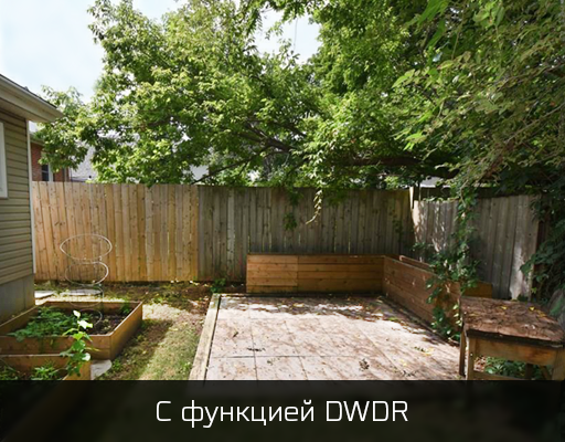 С DWDR
