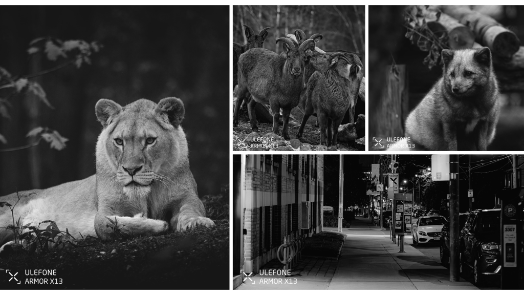 Камера Ulefone Armor X13.png