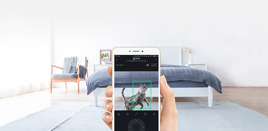 IP-камера Xiaomi Dafang 1080p - ДЕТЕКТОР ДВИЖЕНИЯ