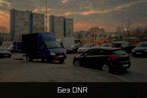 Без DNR
