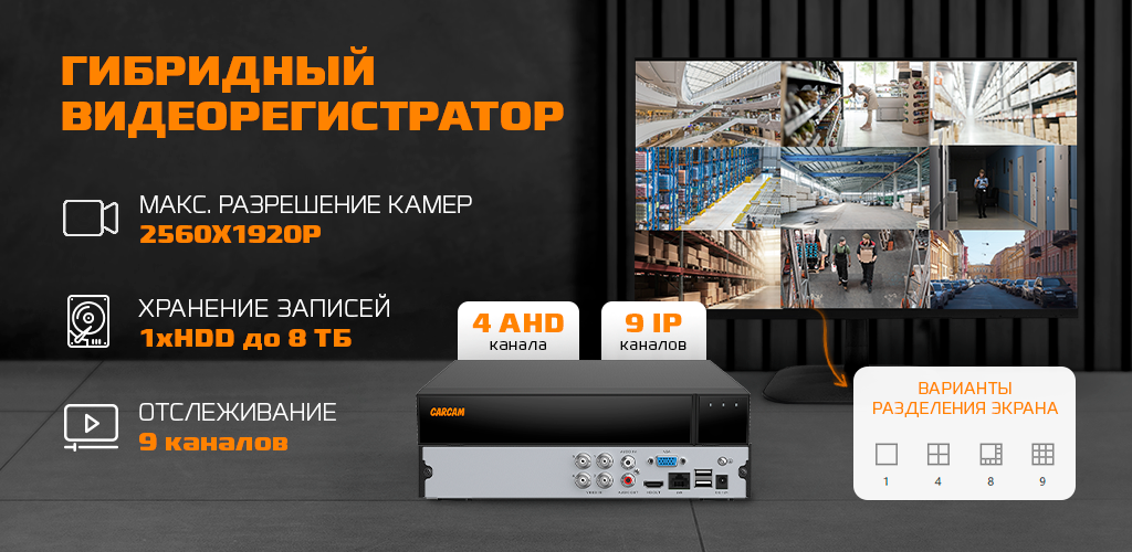 видеорег.png