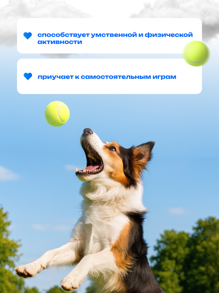 6930878779897 4.png