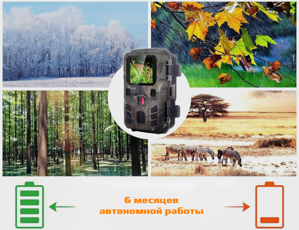 300wifiproavtonomnyraboty.jpg