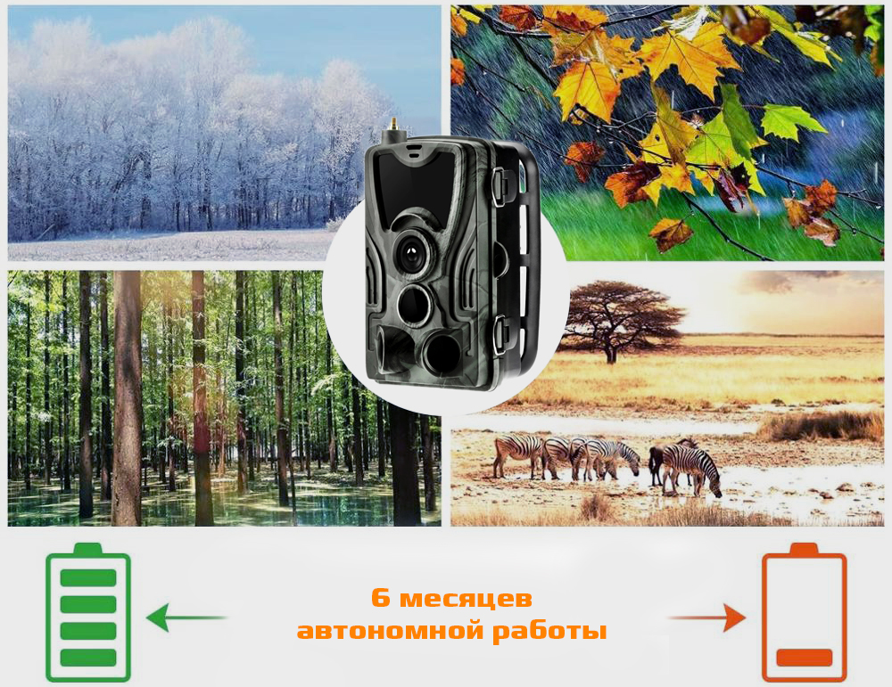 801proavtonomnyraboty.jpg