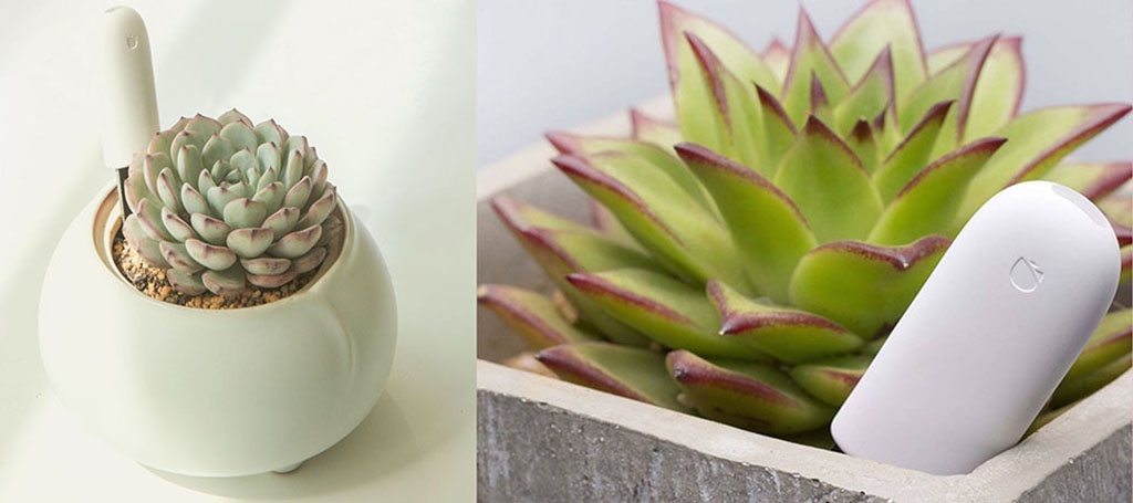 Анализатор почвы и освещенности Xiaomi Smart Flower Monitor - Люксметр