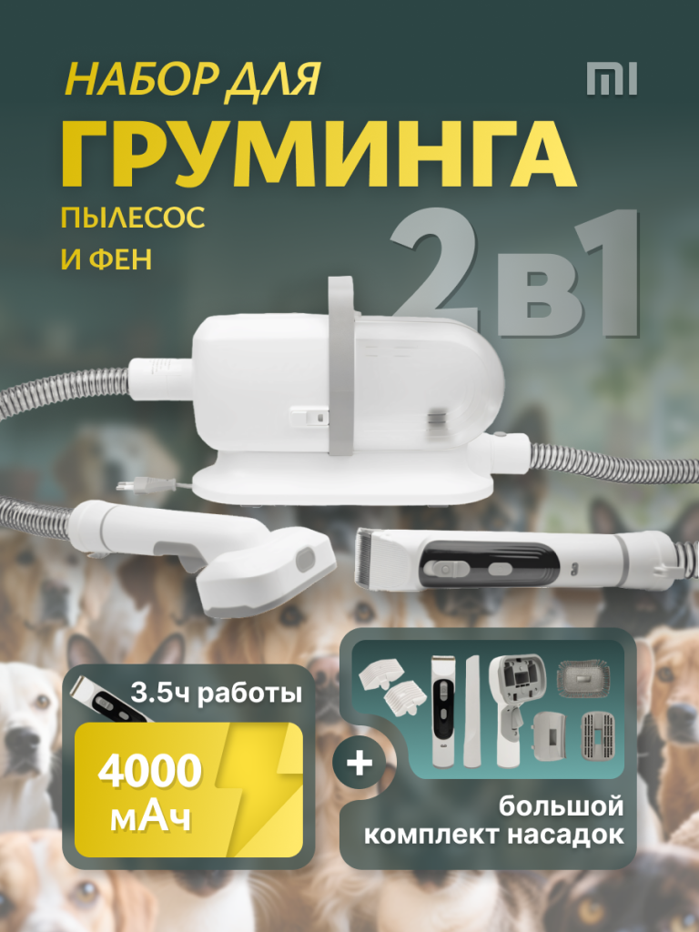 1 6930878772416.png