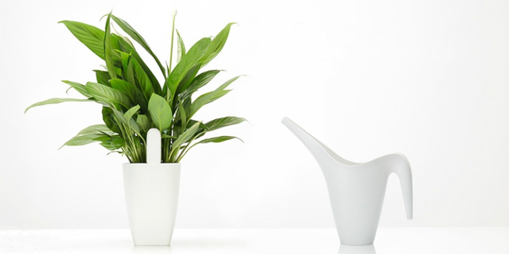 Анализатор почвы и освещенности Xiaomi Smart Flower Monitor - Измеритель влажности почвы