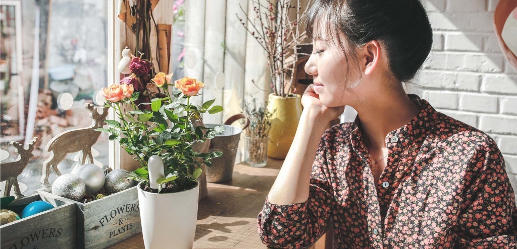 Анализатор почвы и освещенности Xiaomi Smart Flower Monitor