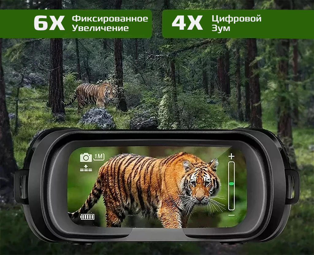 NV1182 zoom.png