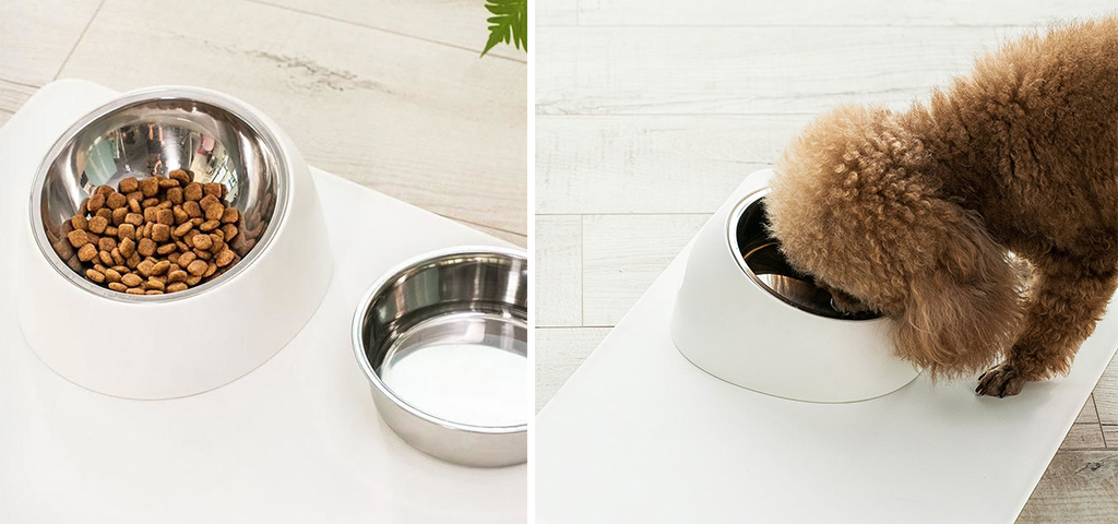 1 Xiaomi Jordan Judy Pet Bowl.jpg