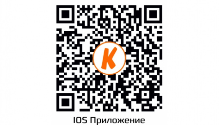 Купить CARCAM CAM-2896VP