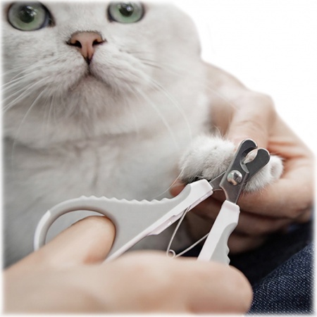 Купить Xiaomi Pawbby MG-PNC001