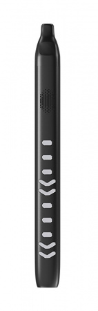 Купить Xiaomi Electronic Wind Instrument DC06