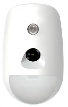 Купить Hikvision DS-PDPC12P-EG2 ИК-датчик проводной с камерой защита от животных