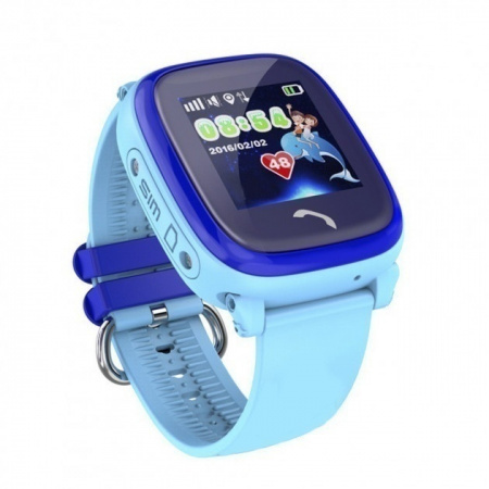 Купить CARCAM GW400S Blue