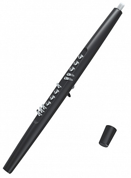 Купить Xiaomi Electronic Wind Instrument DC03	