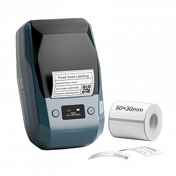 Купить NIIMBOT M2