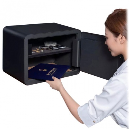 Купить Xiaomi Mi Smart Safe Box 65Mn (BGX-5/X1-3001)