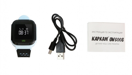 Купить CARCAM GW500S (голубые)