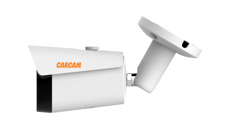Купить Муляж CARCAM CAM-2897PSD