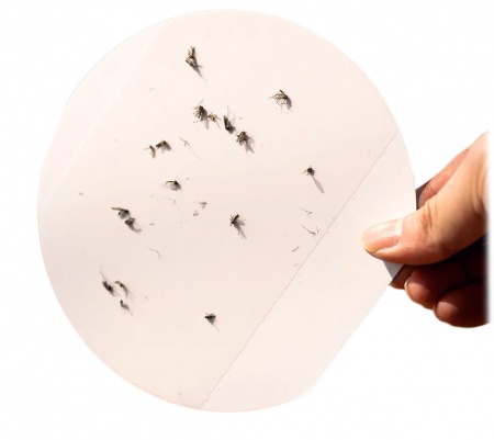 Купить Xiaomi Bcase Square Sticky Trap Mosquito Killer Green (DSHJ-S-2006)