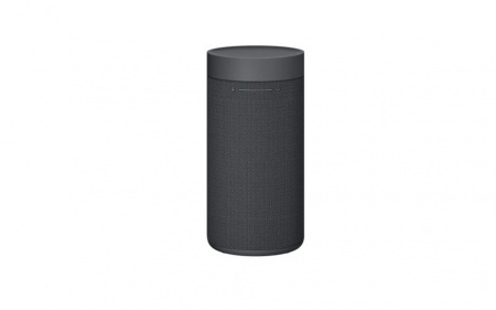 Купить Xiaomi Mi Outdoor Bluetooth Speaker (XMYX02JY)