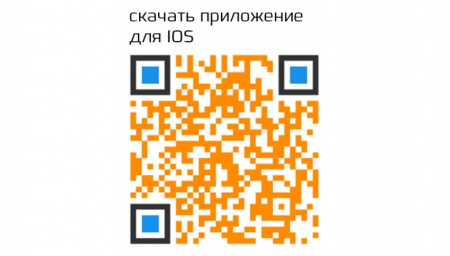 Купить Smart Baby Watch CARCAM Q60 черные