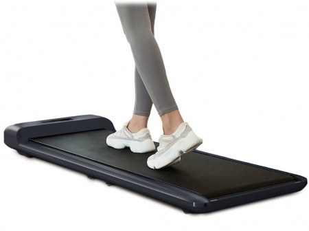 Купить Xiaomi WalkingPad C2 Black (WPС2F)