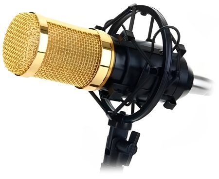 Купить Andowl Professional Condenser Microphone (MIC7)