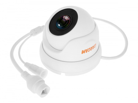 Купить CARCAM CAM-2889P