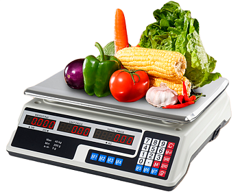Купить Modengo Digital Price Computing Scale (A0048)