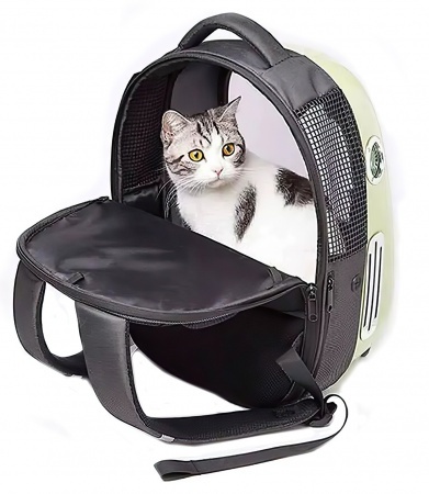 Купить Xiaomi Fresh Wind Cat Backpack Green (P7701)