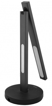 Купить Xiaomi Philips Wisdom Lamp Black