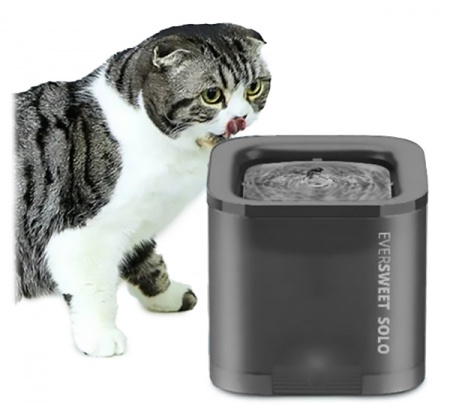 Купить Xiaomi Eversweet Solo Black