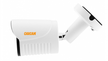 Купить Муляж CARCAM CAM-801