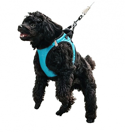 Купить Xiaomi PE073 S