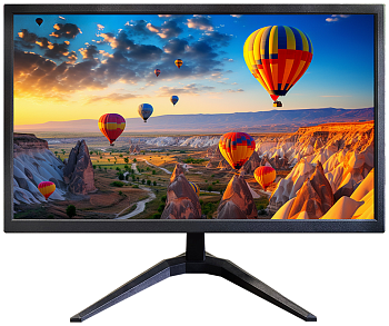 Купить CARCAM CCTV Monitor (CC19AW)